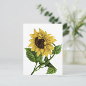  Geel Zonnebloem Blank Bloemen Briefkaart (Staand voorkant)
