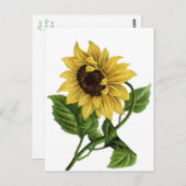  Geel Zonnebloem Blank Bloemen Briefkaart (Voorkant / Achterkant)