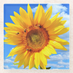 Geel Zonnebloem en Bijenglas Onderzetter Blue Sky