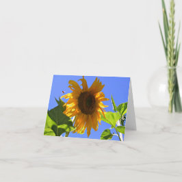 Geel Zonnebloem en Honey Bee Zomernota Kaart