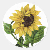  geel Zonnebloem Graphic Flower Sticker (Voorkant)