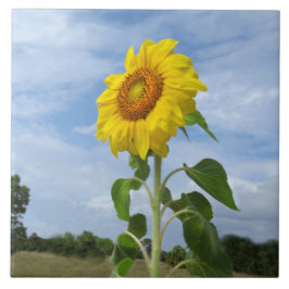 Geel Zonnebloemenwolken Spiegeland Tegel Tegeltje