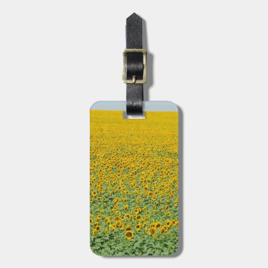 Geel zonnebloemveld bagagelabel (Voorkant verticaal)