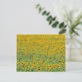 Geel zonnebloemveld briefkaart (Staand voorkant)