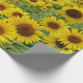 Geel zonnebloemveld cadeaupapier (Hoek)