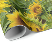 Geel zonnebloemveld cadeaupapier (Rol Hoek)