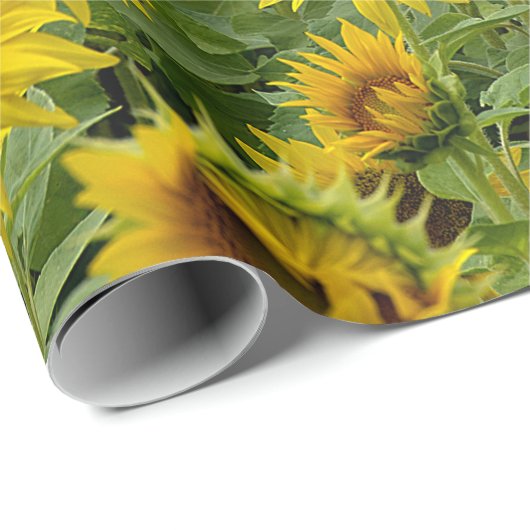 Geel zonnebloemveld cadeaupapier (Rol Hoek)