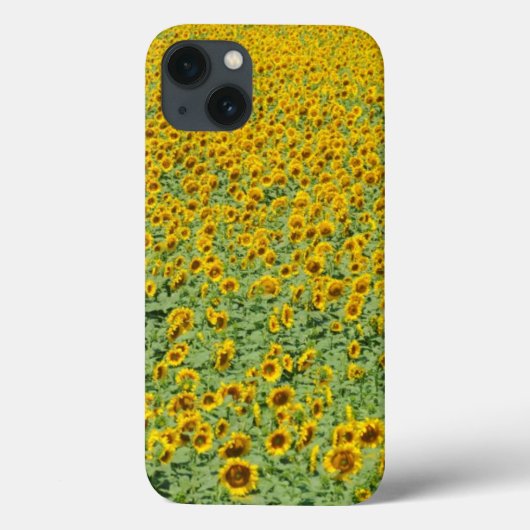 Geel zonnebloemveld Case-Mate iPhone case (Achterkant)