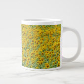 Geel zonnebloemveld grote koffiekop (Rechts)