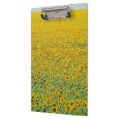 Geel zonnebloemveld klembord (Links)