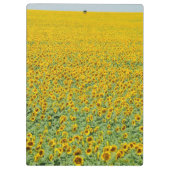Geel zonnebloemveld klembord (Achterkant)