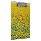 Geel zonnebloemveld klembord (Rechts)
