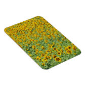 Geel zonnebloemveld magneet (Rechterzijde)