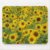 Geel zonnebloemveld muismat (Voorkant)