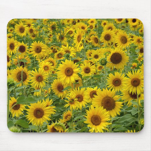 Geel zonnebloemveld muismat (Voorkant)
