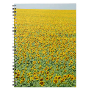 Geel zonnebloemveld notitieboek
