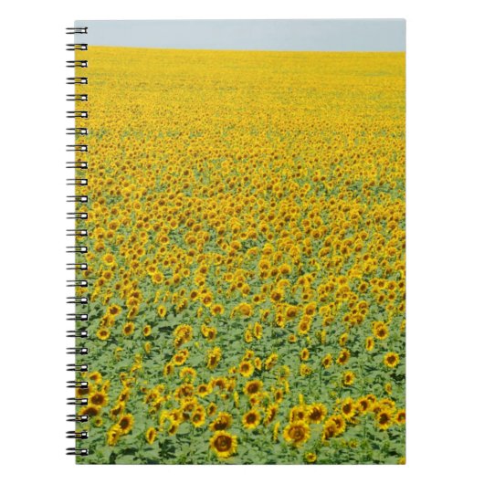 Geel zonnebloemveld notitieboek (Voorkant)