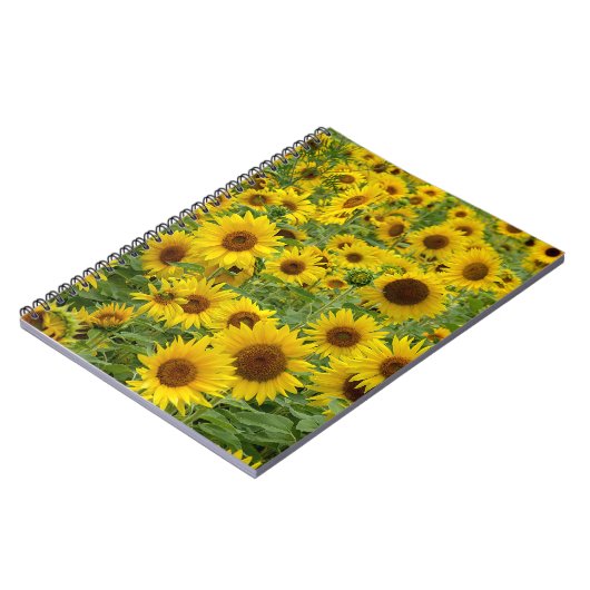 Geel zonnebloemveld notitieboek (Linkerzijde)
