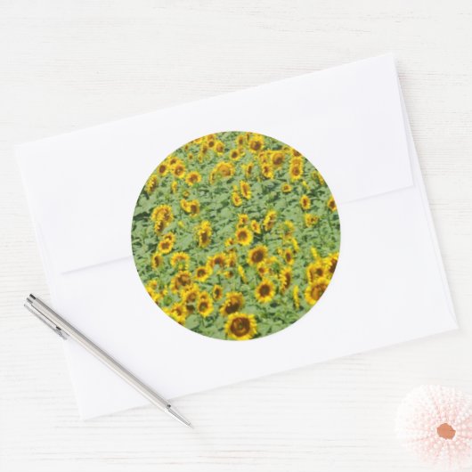 Geel zonnebloemveld ronde sticker (Envelop)