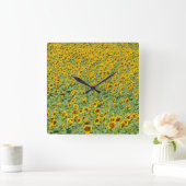Geel zonnebloemveld vierkante klok (Huis)