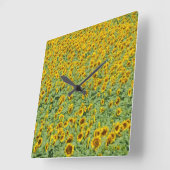 Geel zonnebloemveld vierkante klok (Hoek)