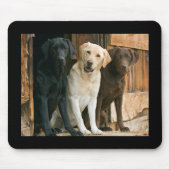Geel, zwart, bruin labrador Retriever Mousepad Muismat (Voorkant)
