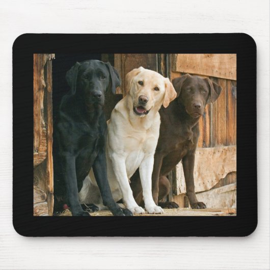 Geel, zwart, bruin labrador Retriever Mousepad Muismat (Voorkant)