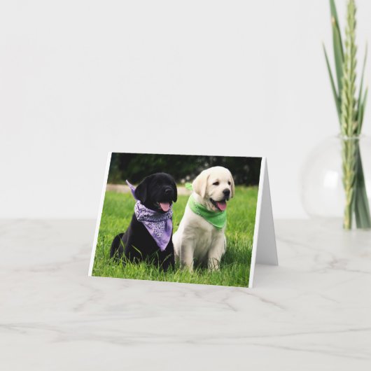 Geel & Zwart Labrador Retriever Puppy Note Kaart (Voorkant)
