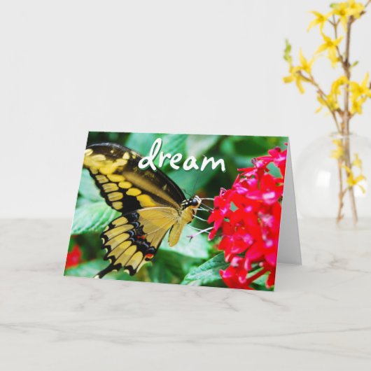 Geel zwart vlinder foto droom script modern kaart (Gele Bloem)