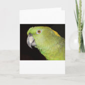 Geelachtige Amazone Kaart (Voorkant)