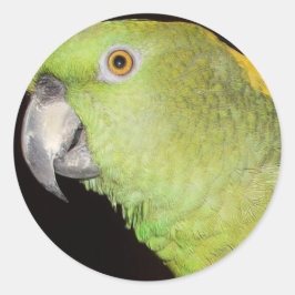 Geelachtige Amazone Ronde Sticker