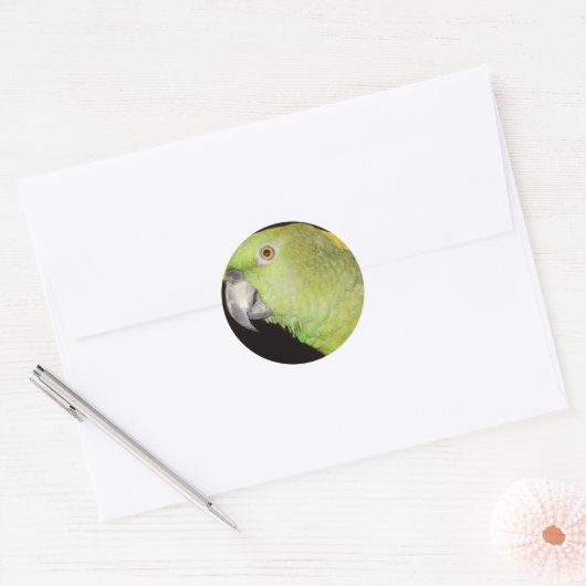 Geelachtige Amazone Ronde Sticker (Envelop)