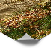 geelblad poster (Hoek)