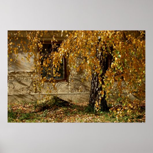 geelblad poster (Voorkant)