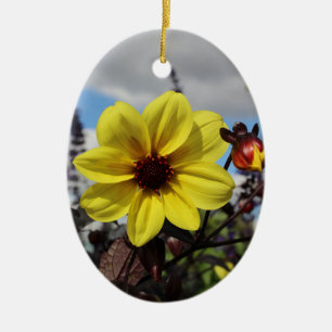 Geelbloem ornament