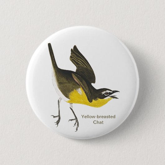 Geelborstkas, Audubon, Birdwatcher Warbler Ronde Button 5,7 Cm (Voorkant)