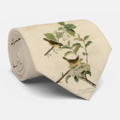 Geelborstkas Audubon's vogels in Amerika Stropdas (Opgerold)
