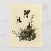 Geelborstkas Briefkaart (Voorkant)