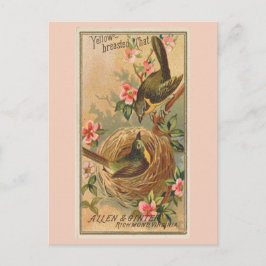 Geelborstkas Briefkaart