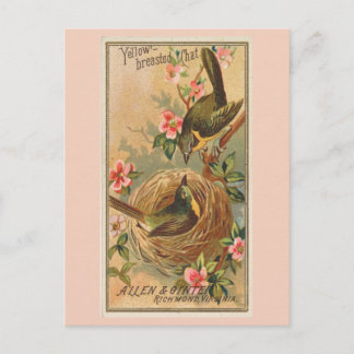 Geelborstkas Briefkaart