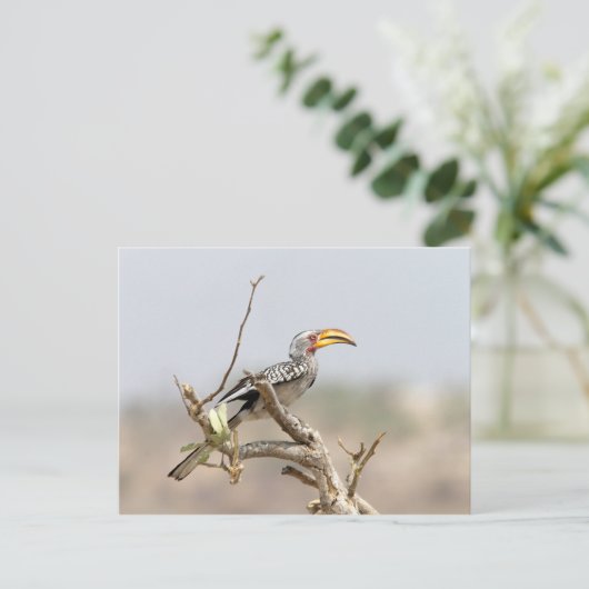 Geelbruin Briefkaart (Staand voorkant)