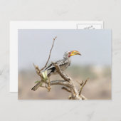 Geelbruin Briefkaart (Voorkant / Achterkant)