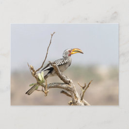 Geelbruin Briefkaart