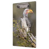 Geelbruin Klembord (Links)