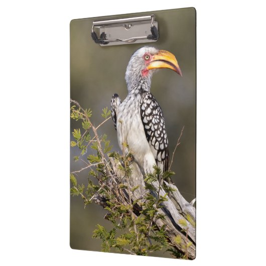 Geelbruin Klembord (Links)