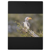 Geelbruin Klembord (Achterkant)