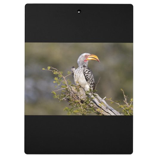 Geelbruin Klembord (Achterkant)