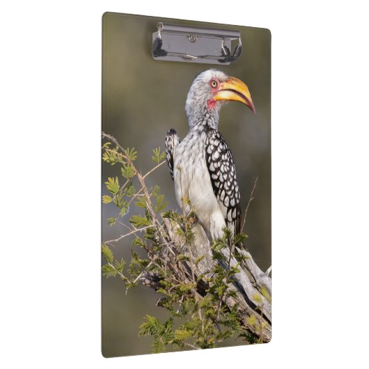 Geelbruin Klembord (Rechts)