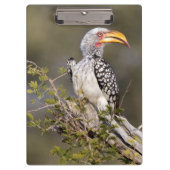 Geelbruin Klembord (Voorkant)