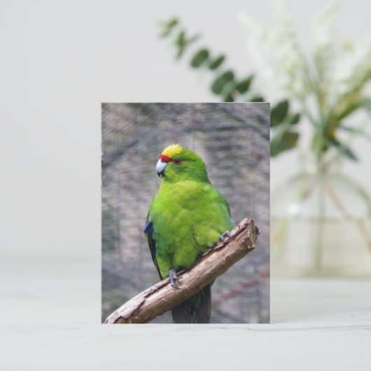 Geelbruin parkiet briefkaart (Staand voorkant)